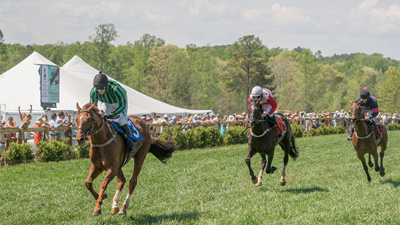 Tryon International Equestrian Center