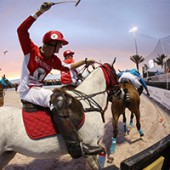 Gladiator Polo