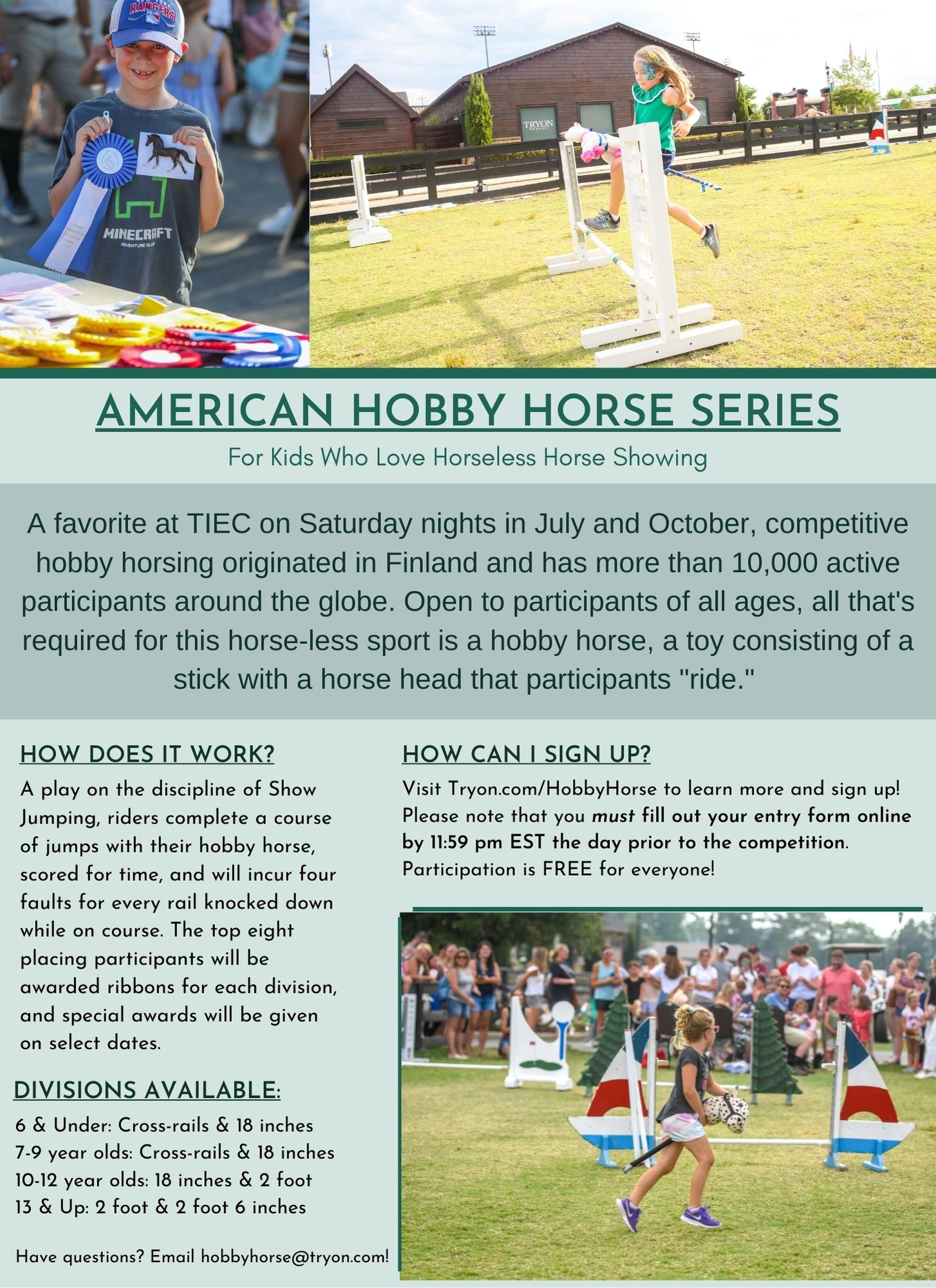 AMERICAN HOBBY HORSE SERIES (2)