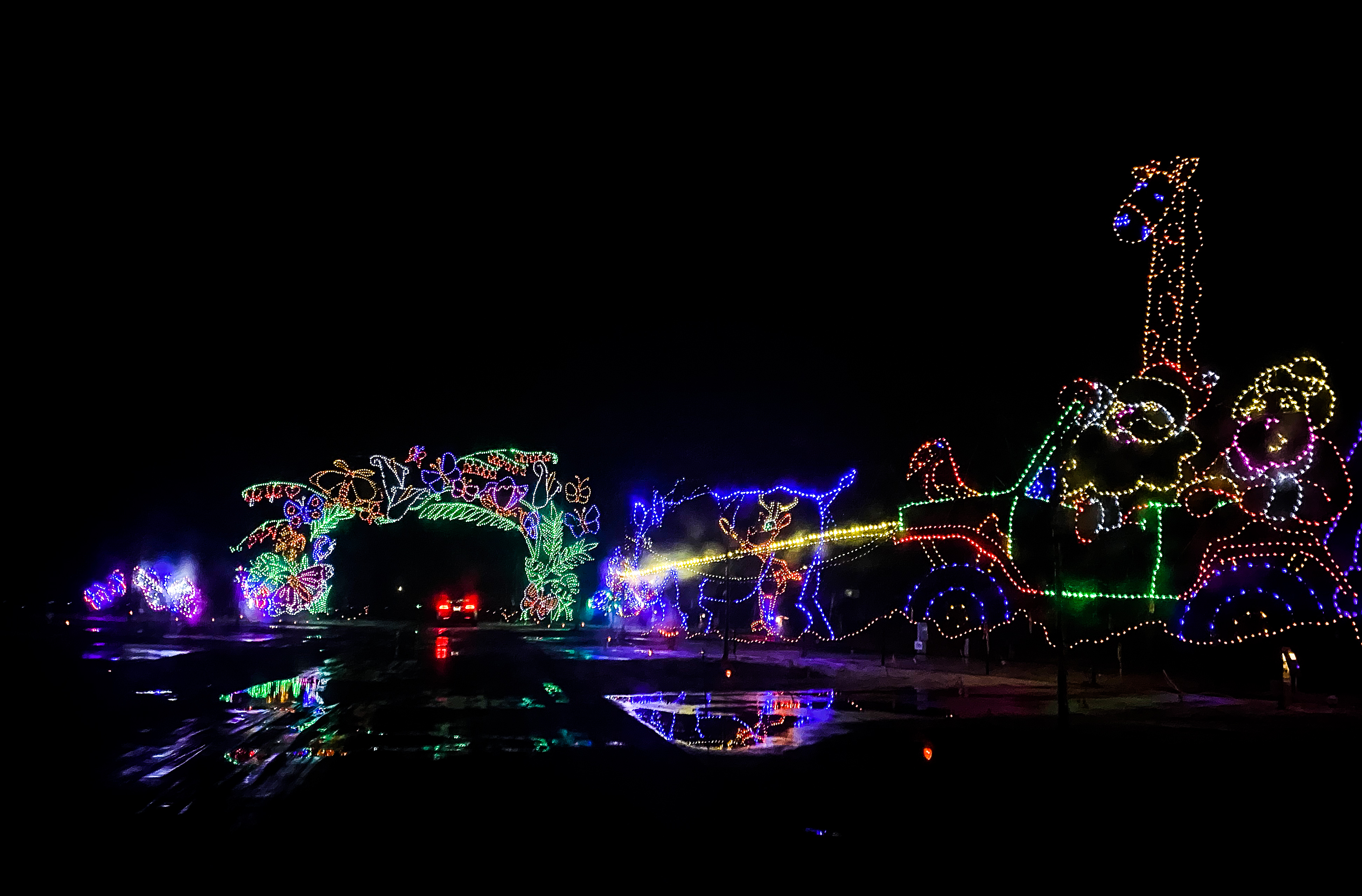 winterfest lights