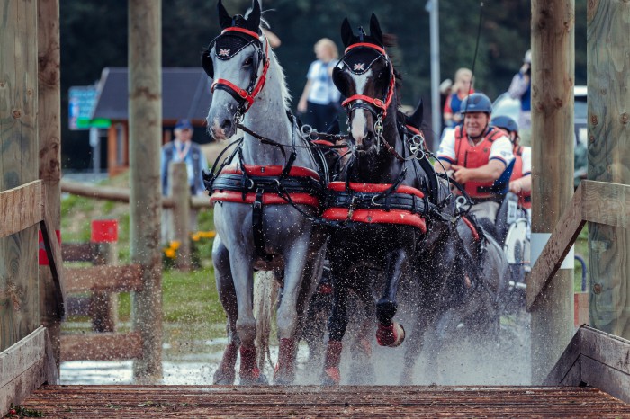 FEI World Driving Championship Four-in-Hand