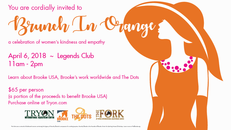 Ladies Luncheon Web Slider-2