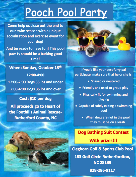 Upcoming Events | Pooch Pool Party at Cleghorn Golf & Sports Club | Tryon  Horse Shows