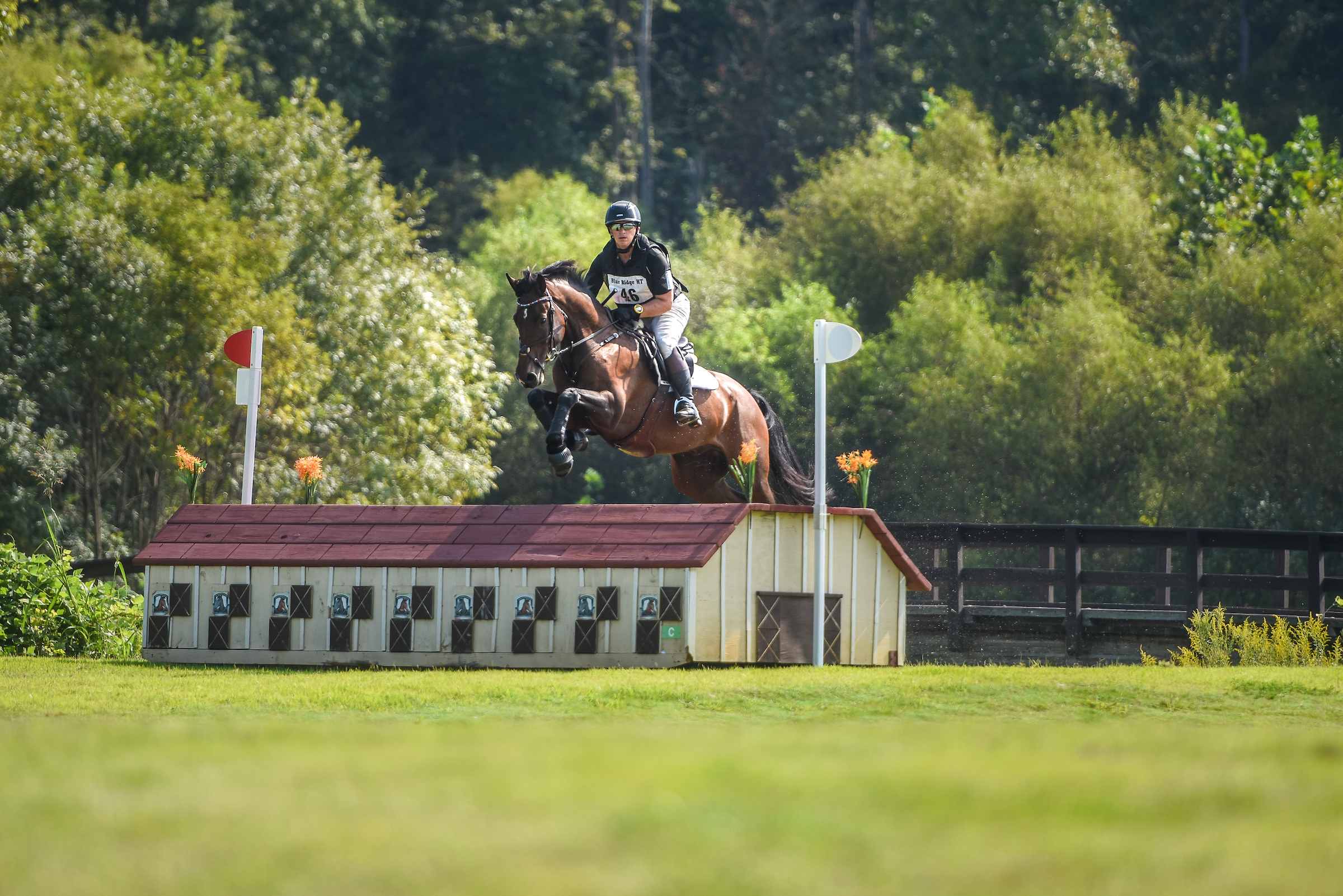 Tryon Equestrian Center Events Calendar Kara Eleonora