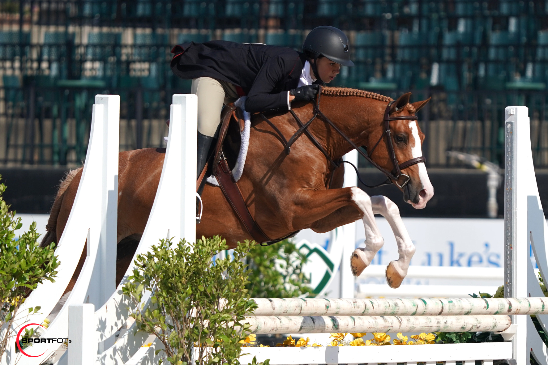 Tryon International Equestrian Center