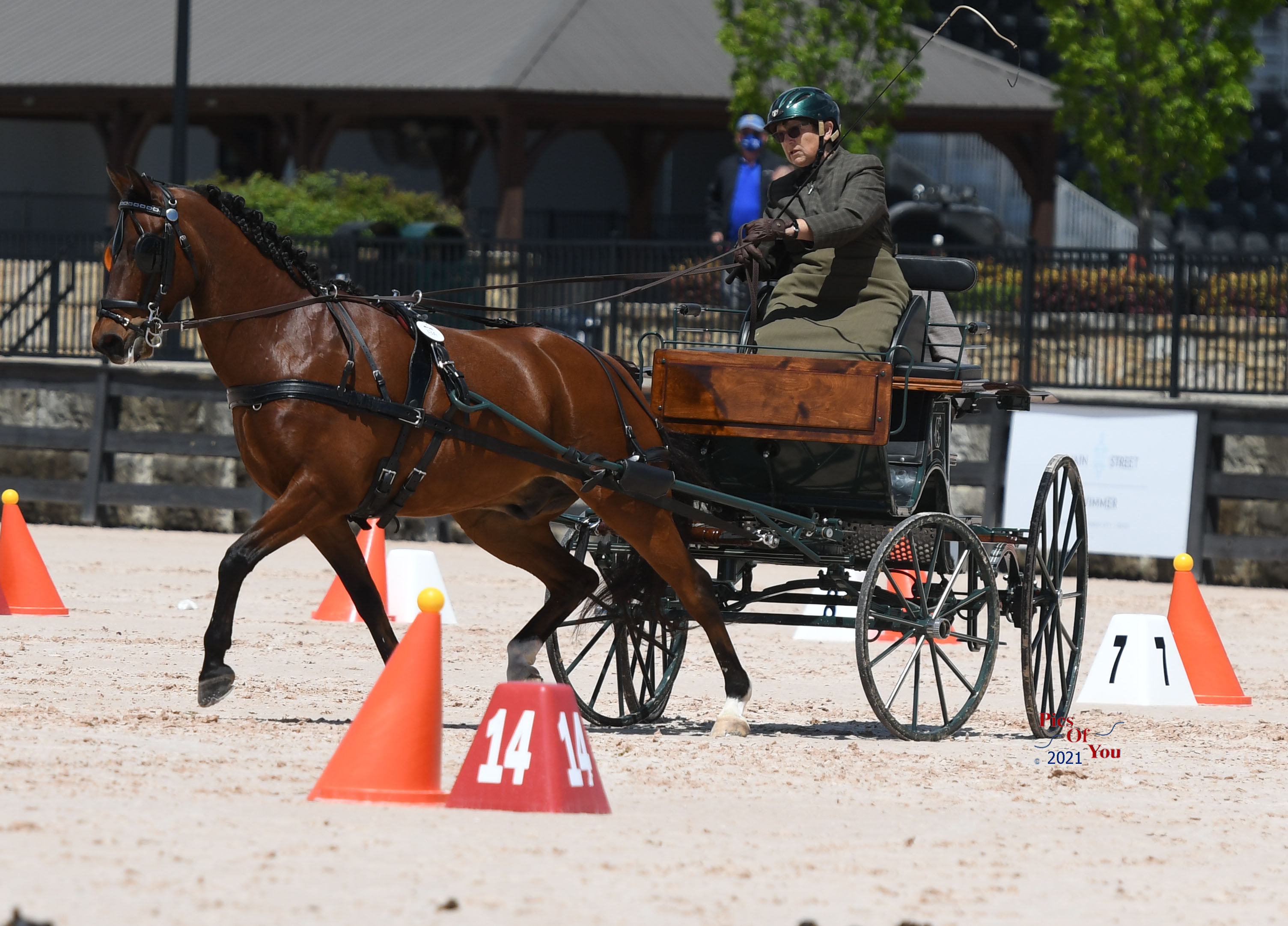 Last Chance for Animals - LCA Blog - Horse Drawn Carriages - An