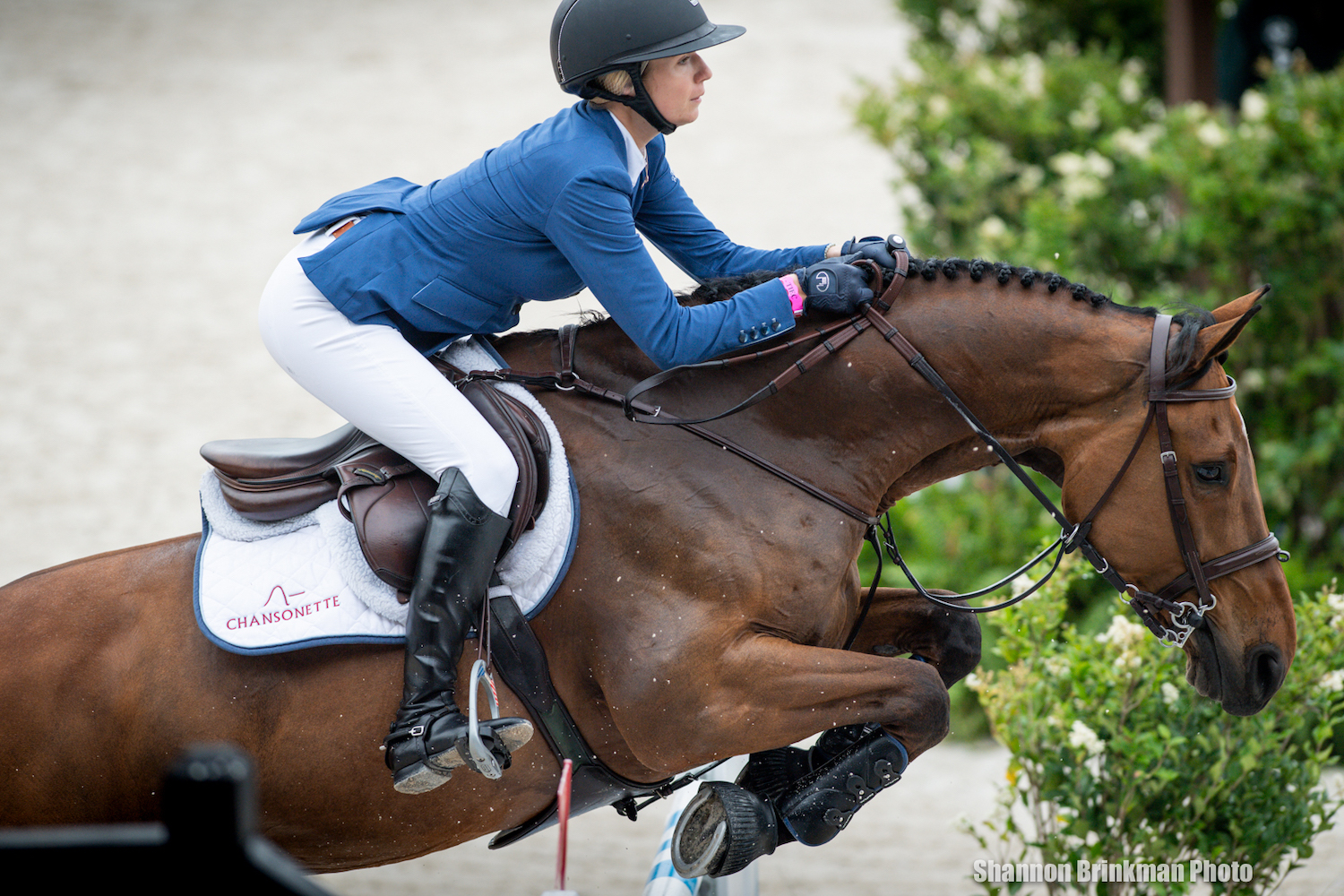 Tryon International Equestrian Center