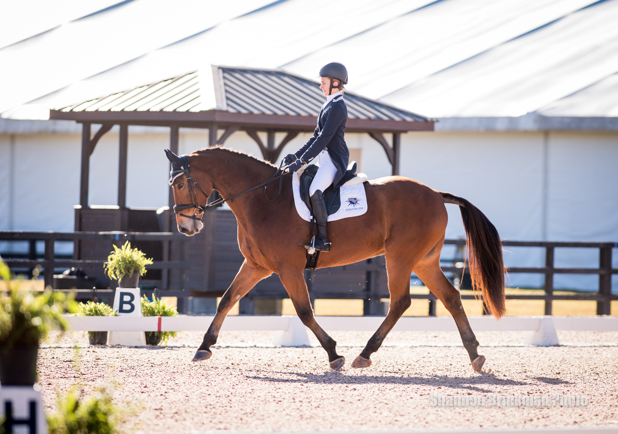 Susie Dutta Receives Triple Crown® Nutrition's Dressage Excellence Award -  HorsesDaily