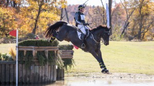 BaughmanWoodsC'estLaVieTC21brinkman11-13x4-5721