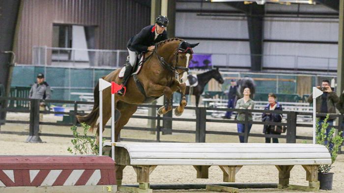 Young Horse Show Finals