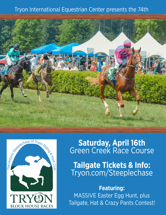 Steeplechase-Poster-540x700