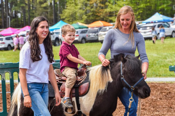 Pony Rides