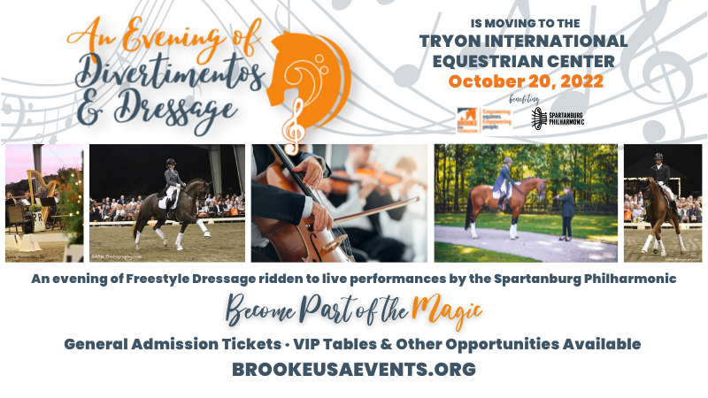 Wide - Social Media Announcement - 2022 Divertimentos & Dressage (800 × 450 px)