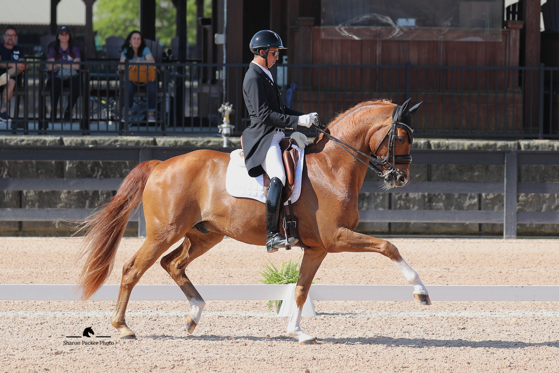 Plastron Frida, Riding, Dressage