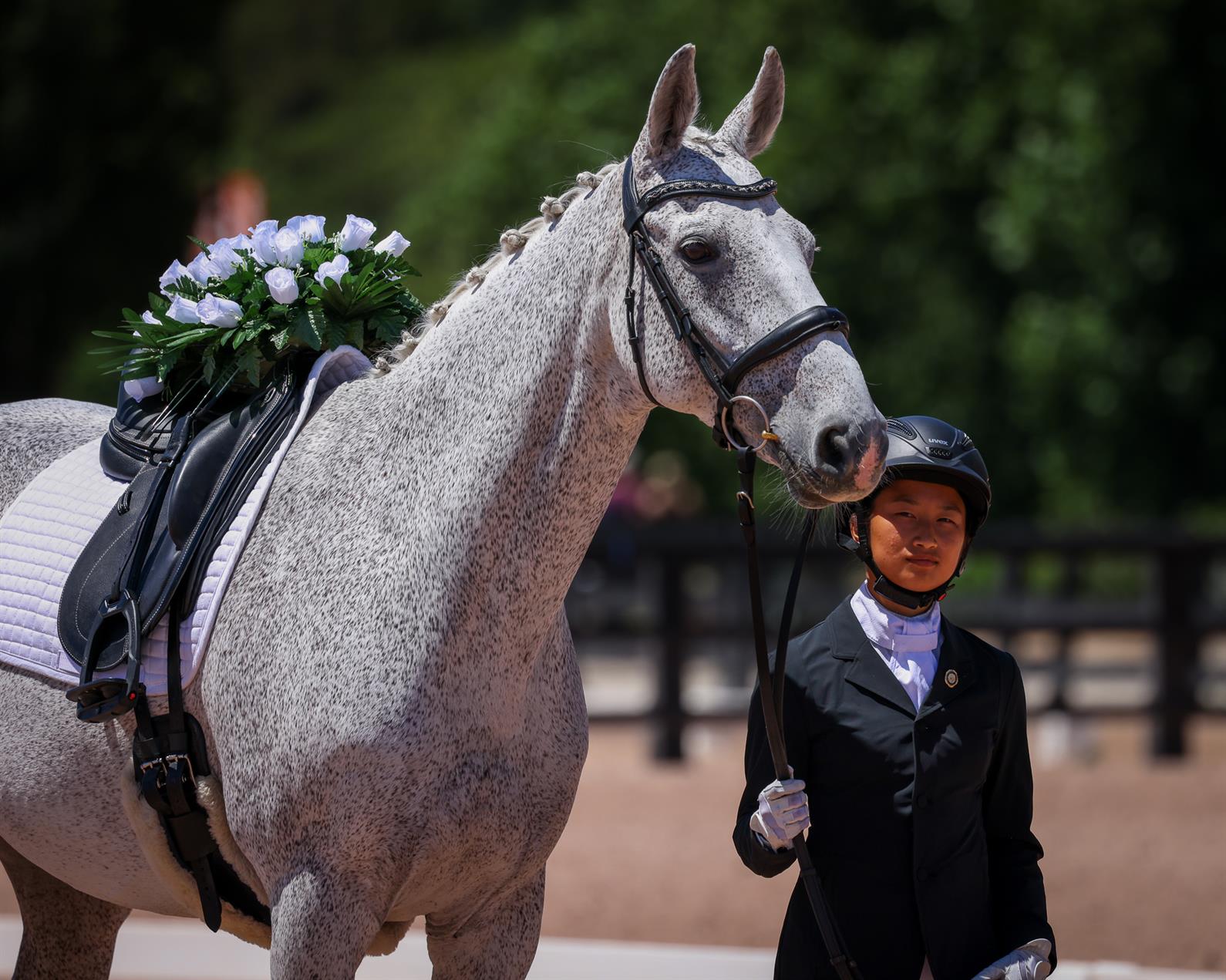 riderless-horse_large