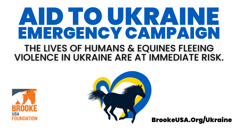 Ukraine Disaster Relief (800x450)