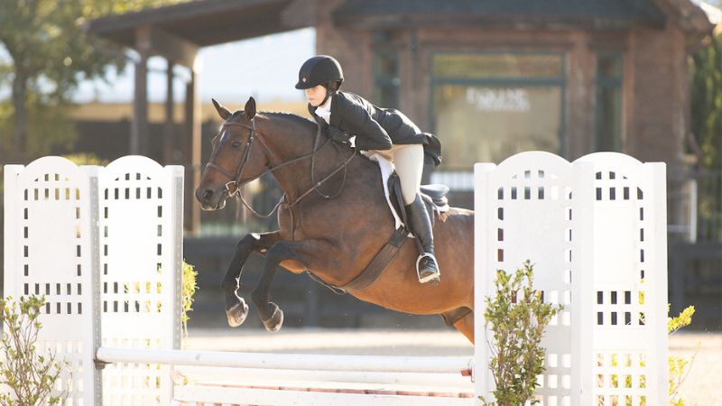 tryon-international-equestrian-center