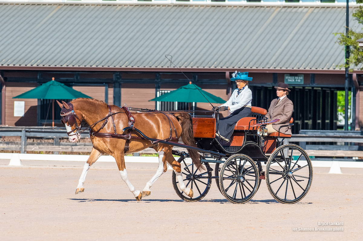 Katy23brinkman4-allison stroud dressage