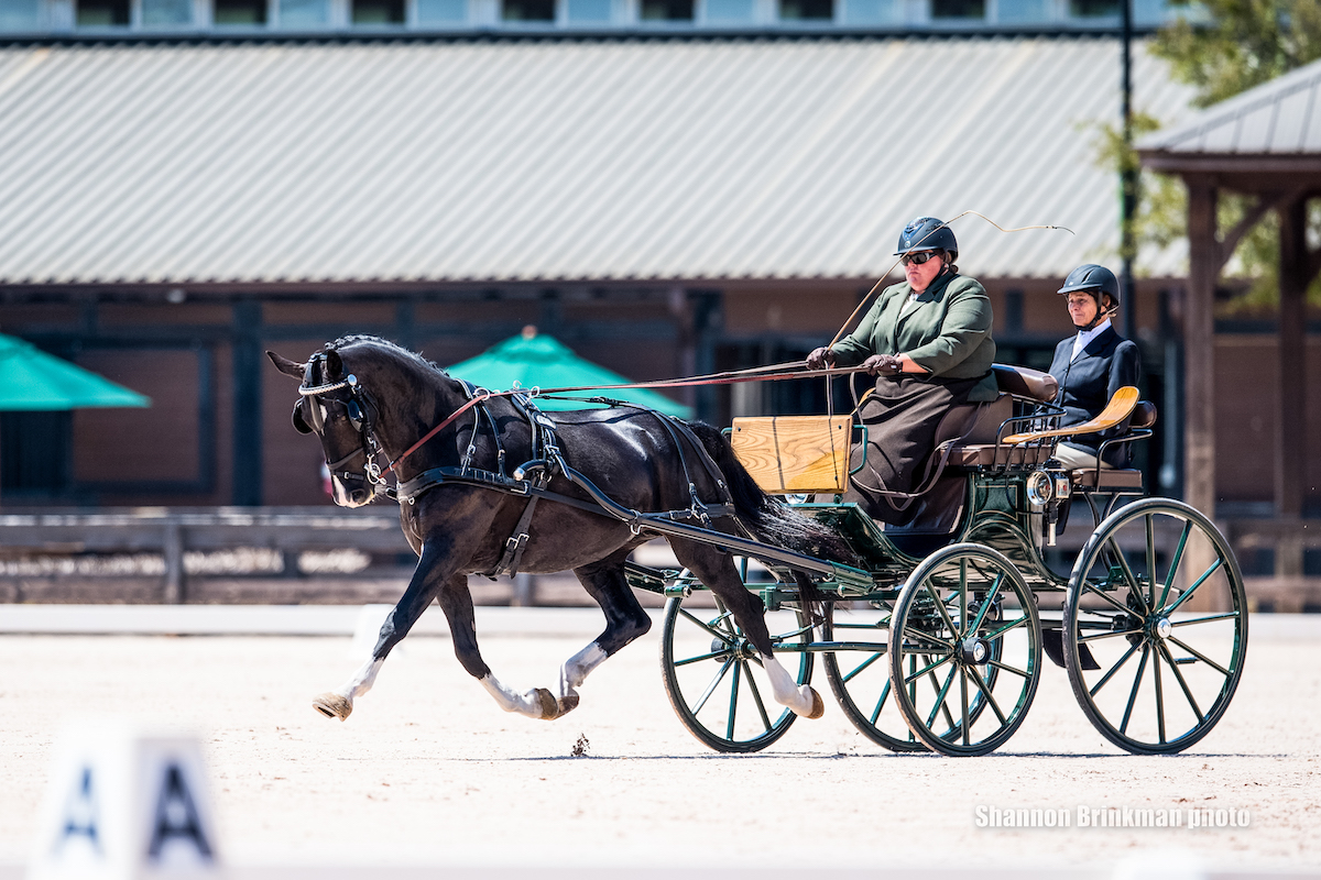 Katy23brinkman4-janelle marshall dressage