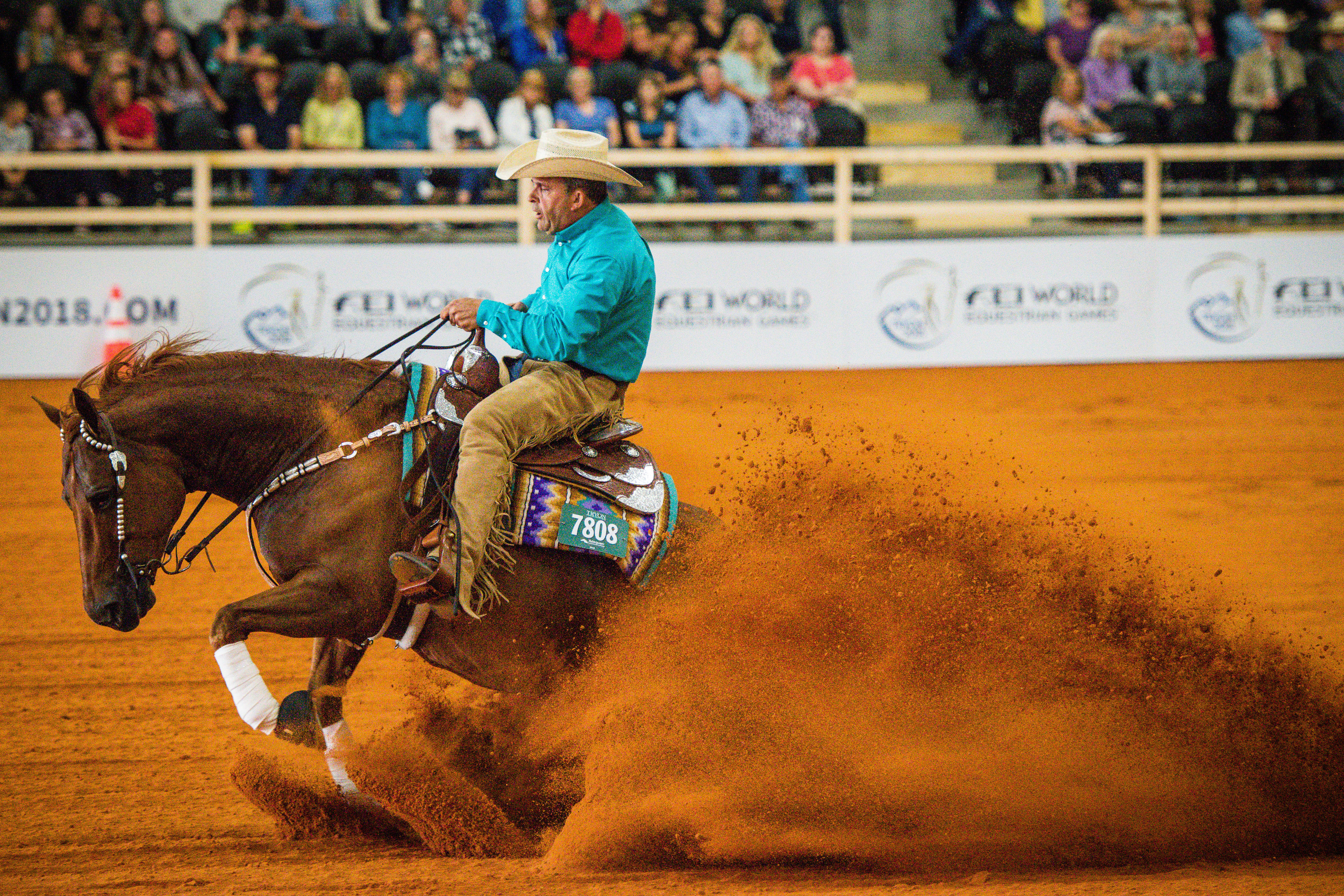 Reining