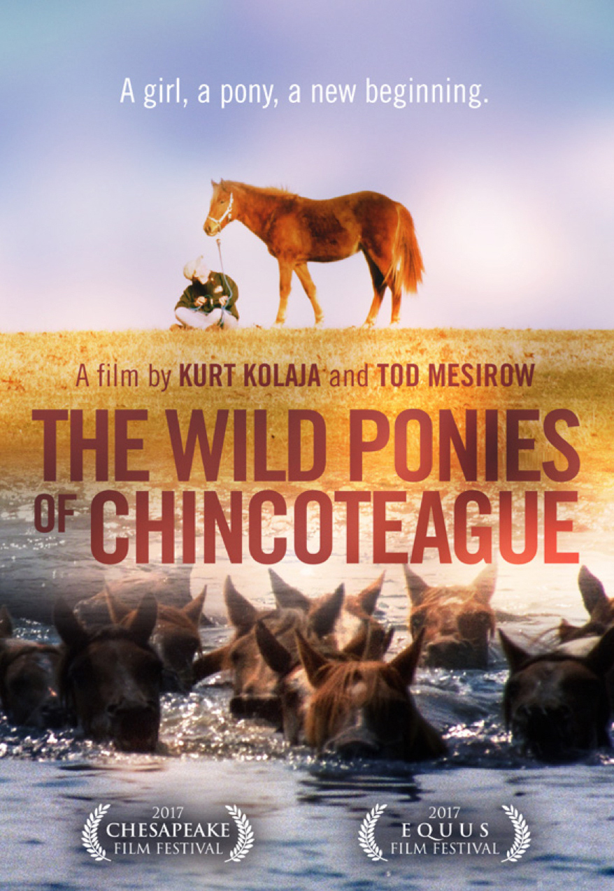 FILM - THE WILD PONIES OF CHINCOTEAGUE
